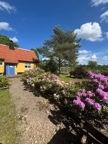 mjäryd7.jpg 51