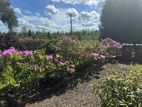 mjäryd4.jpg 54