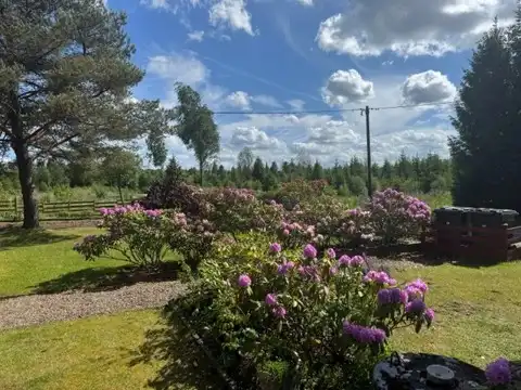 mjäryd3.jpg 55