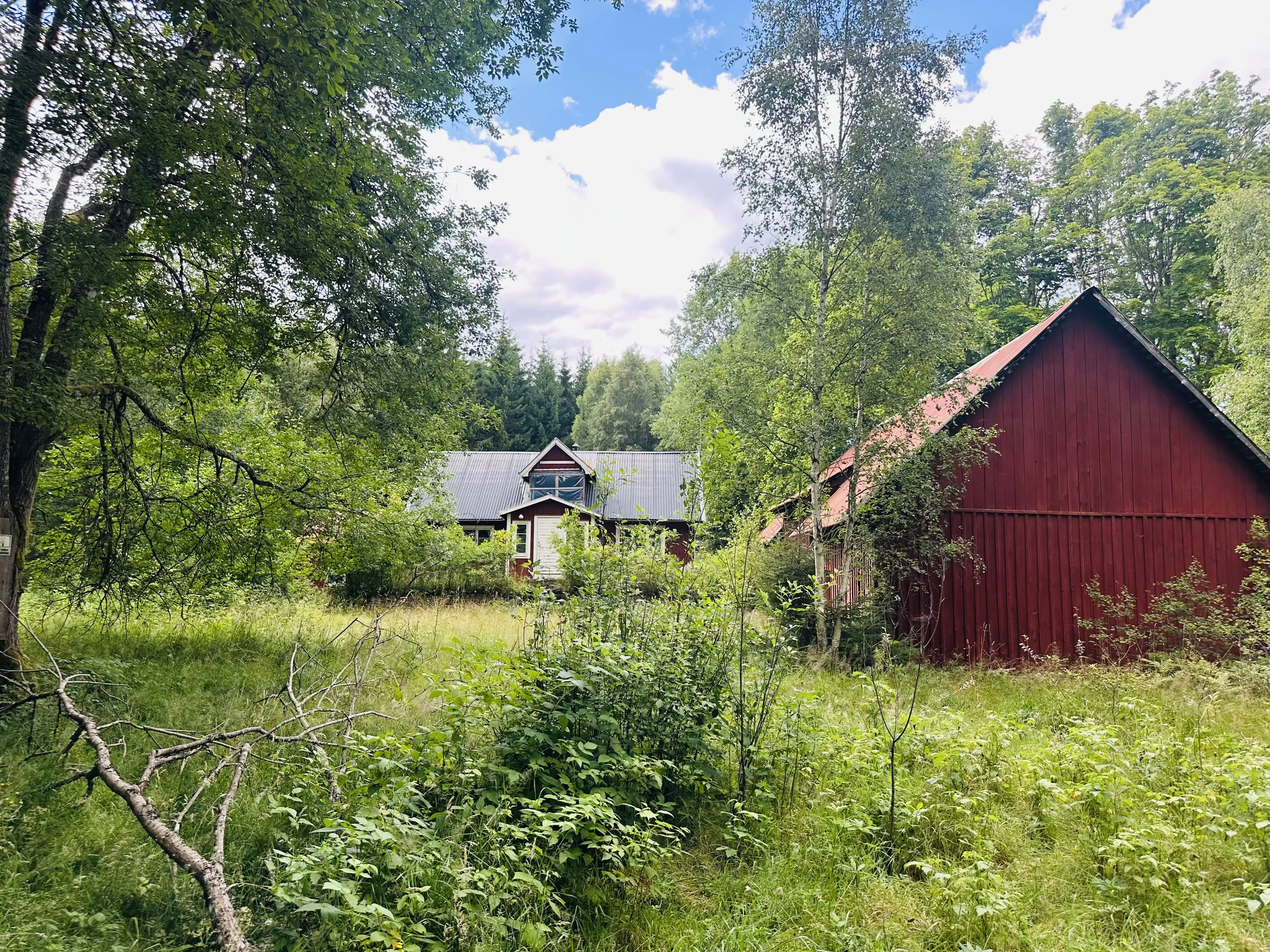 IMG_2116.jpeg