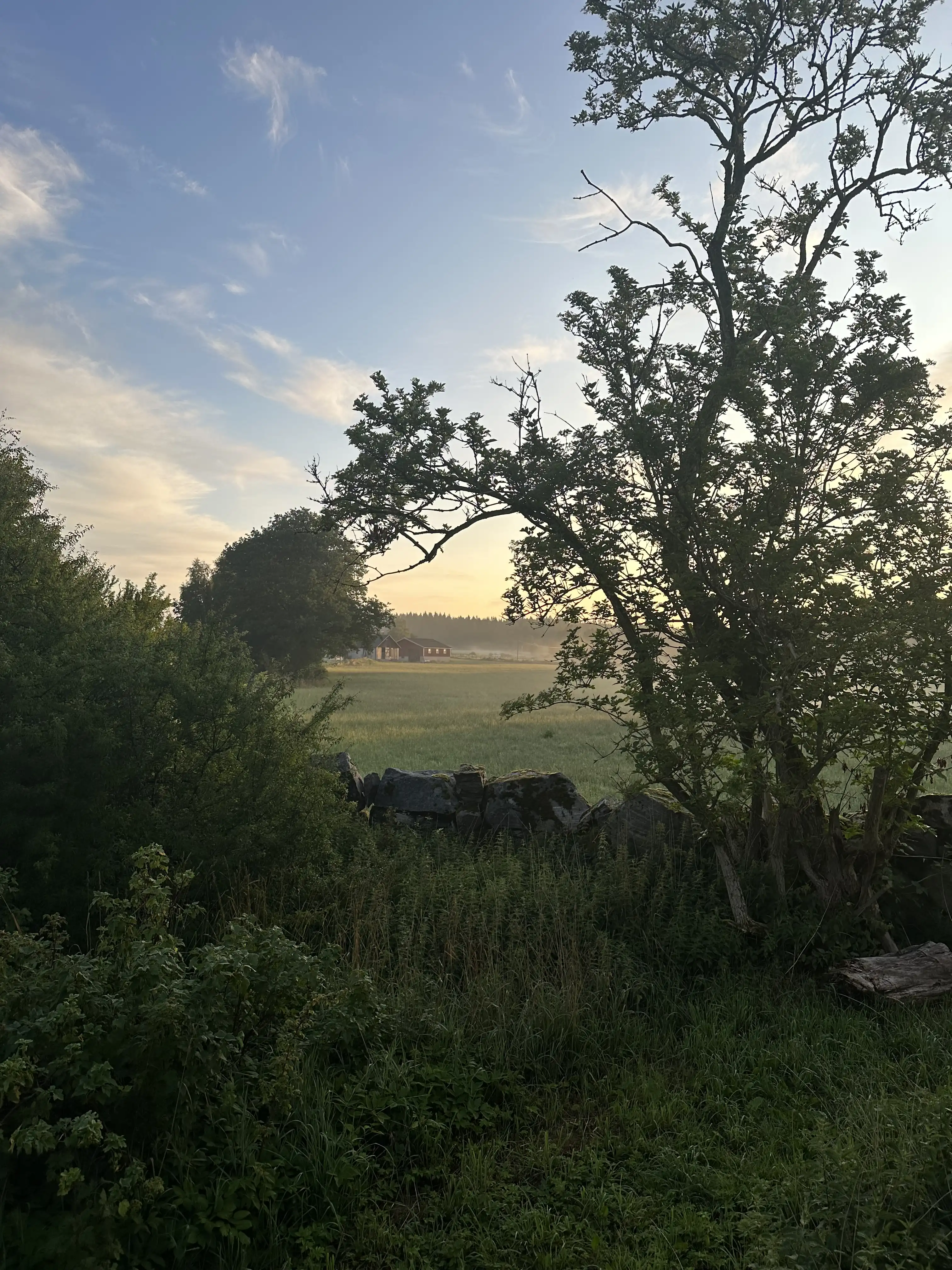 IMG_4728.jpeg 16