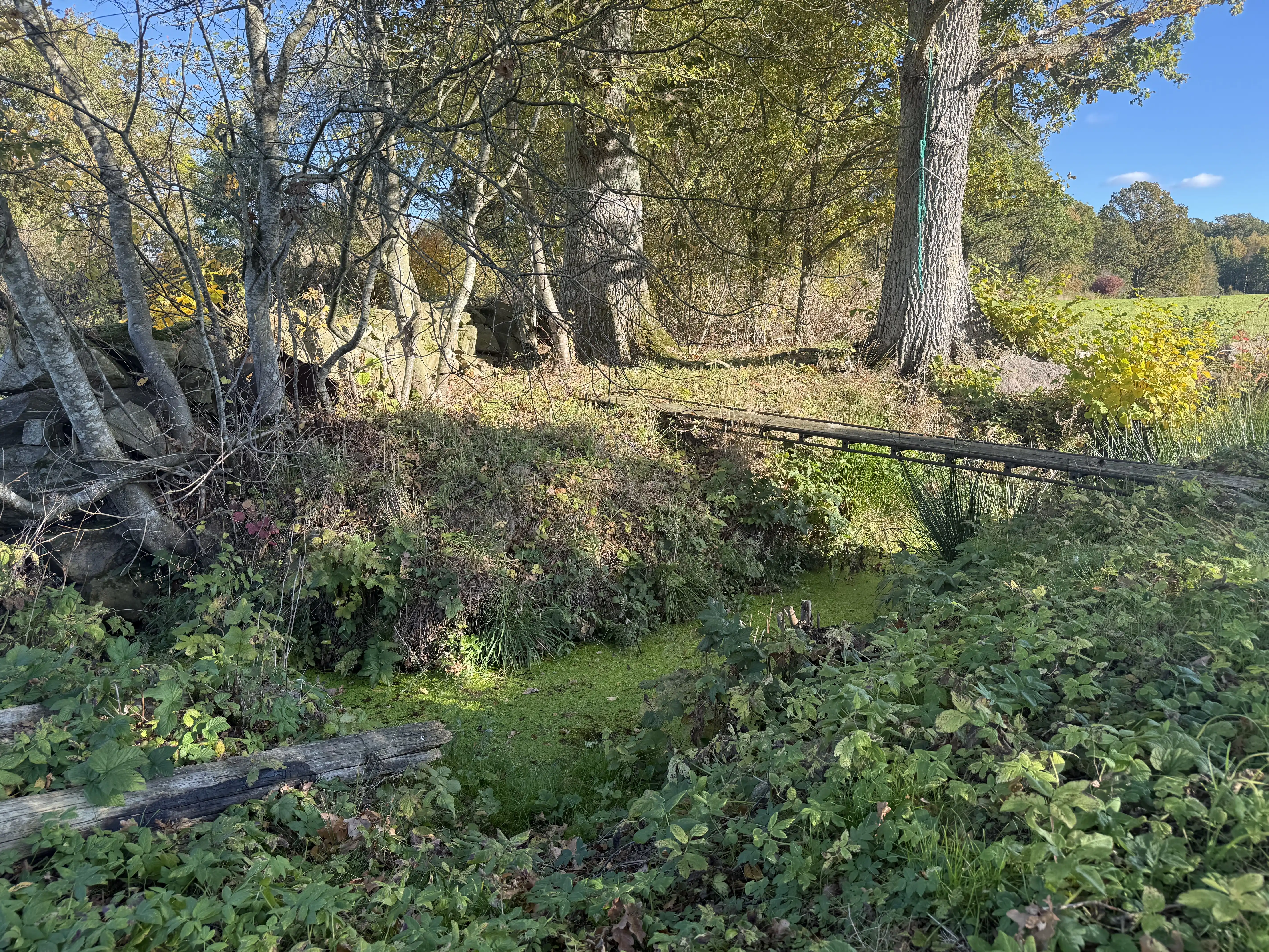 IMG_5828.jpeg 12