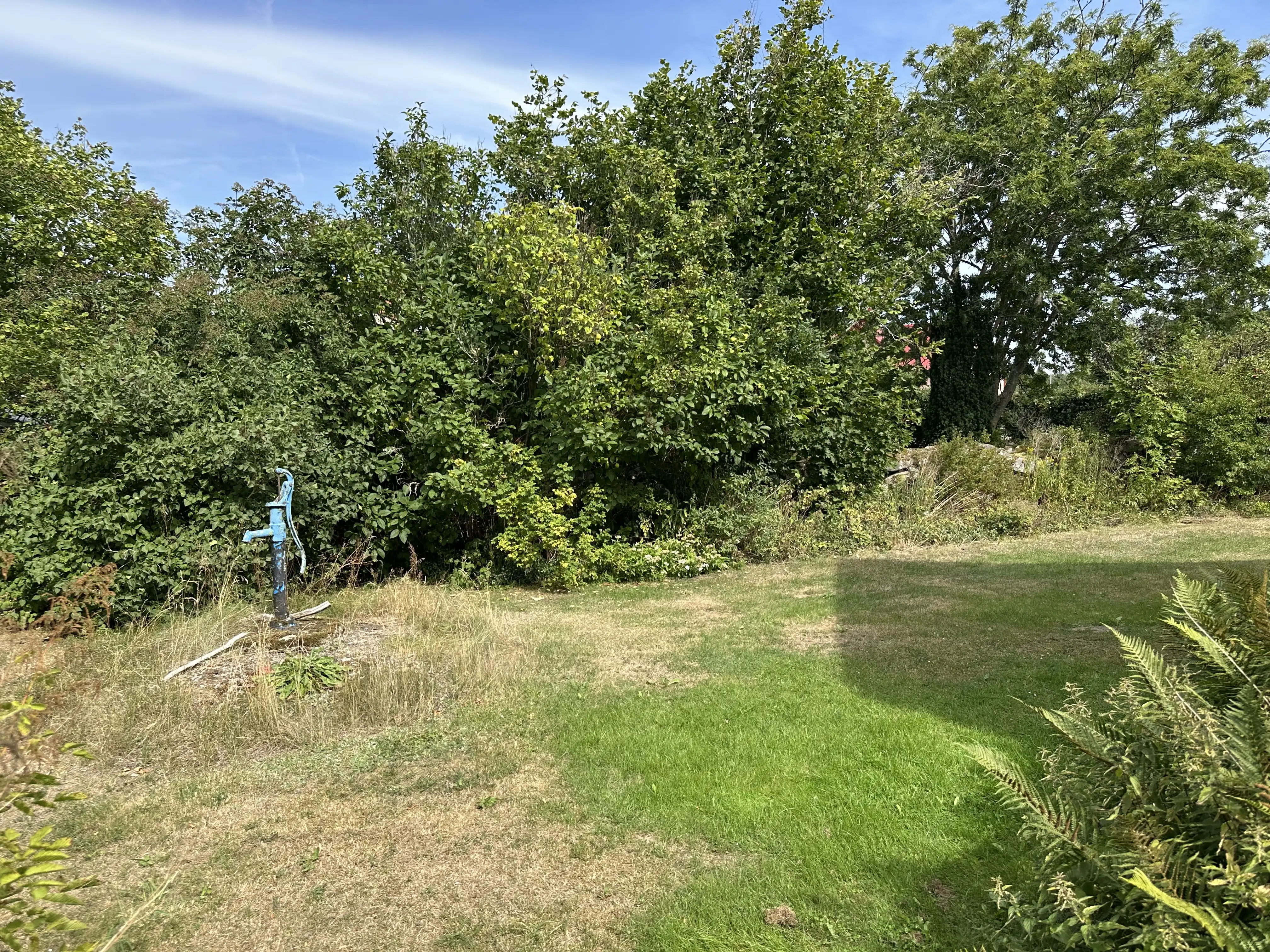 IMG_2406.jpeg 15