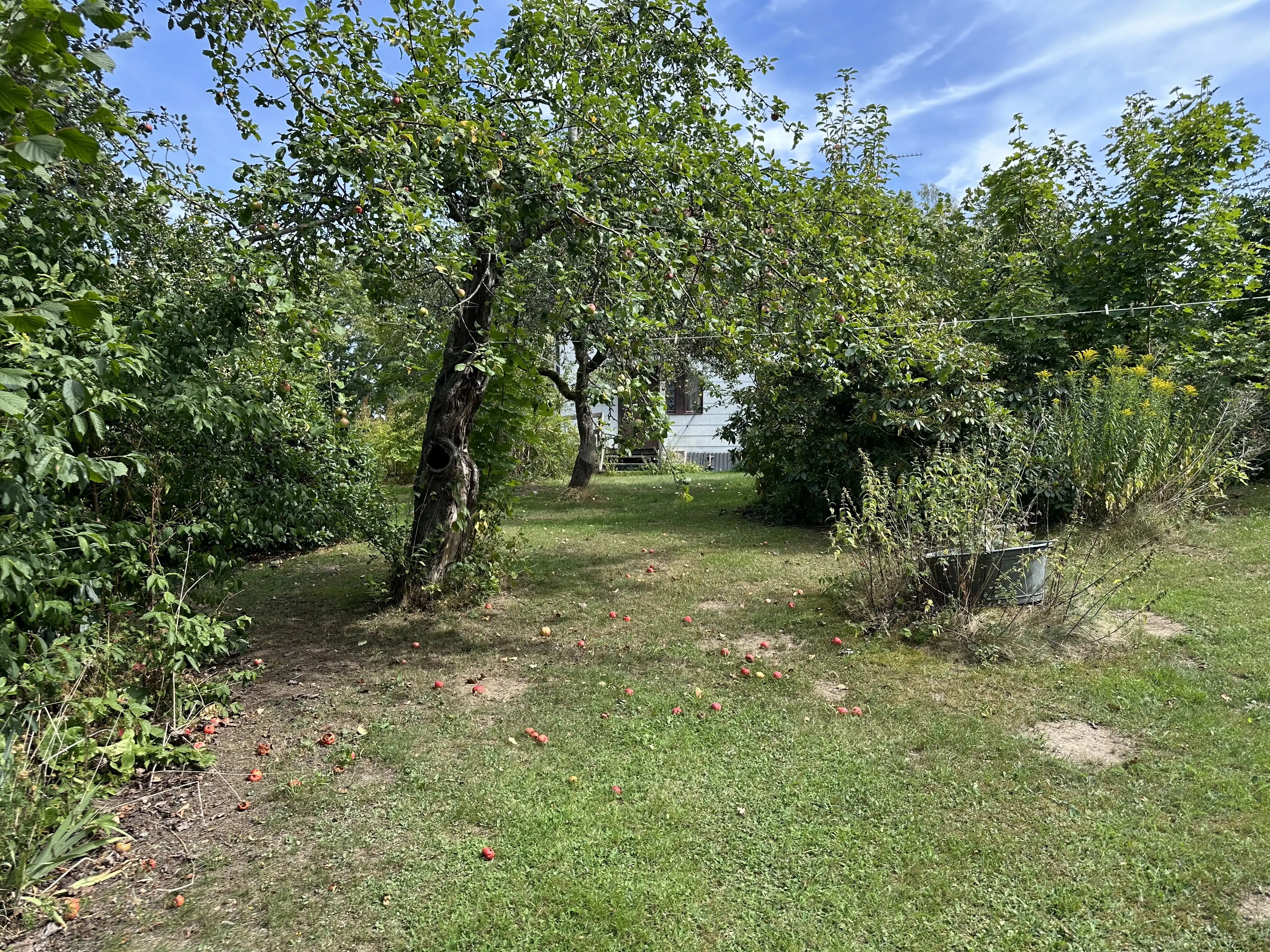 IMG_2403.jpeg 18