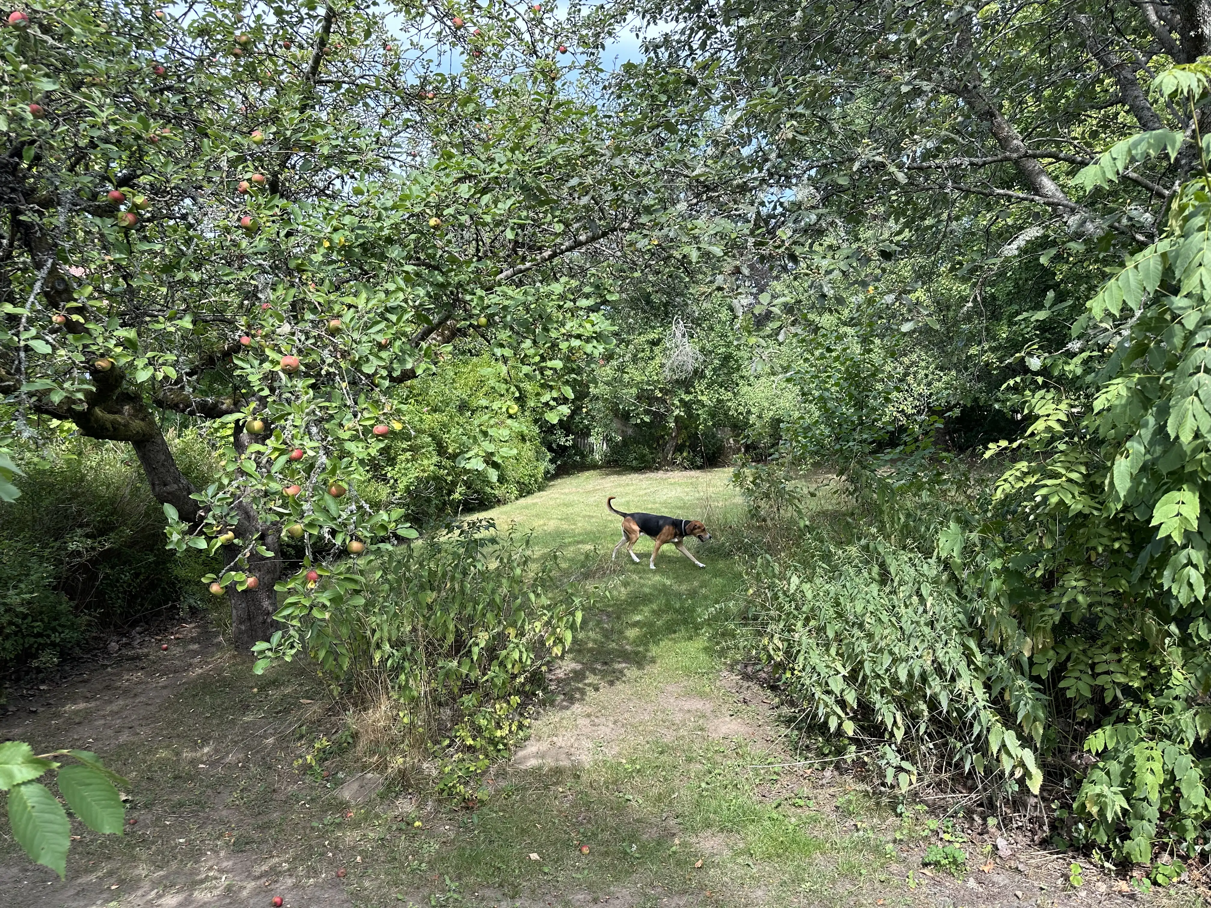 IMG_2402.jpeg 19
