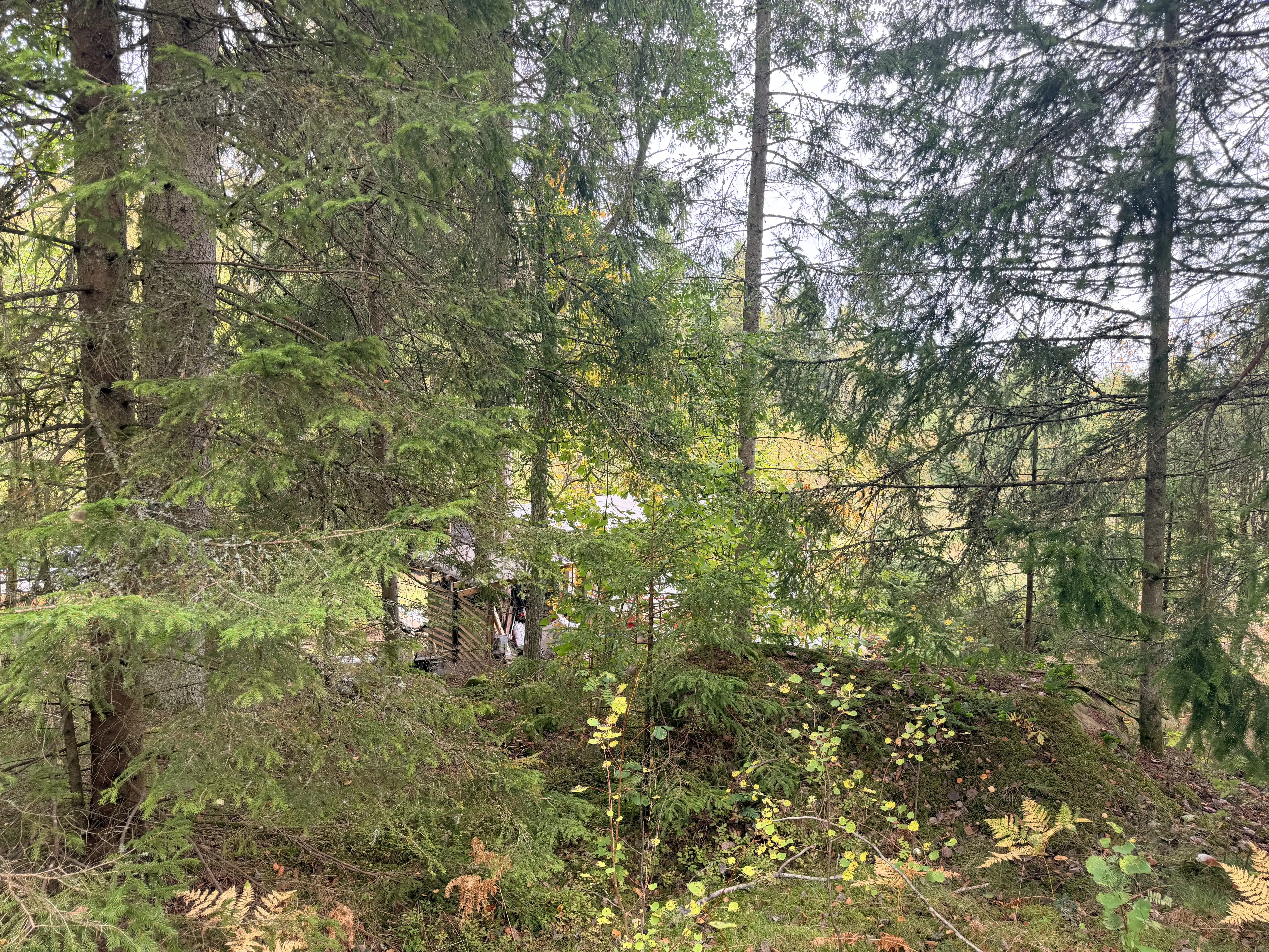 IMG_6004.jpeg 3
