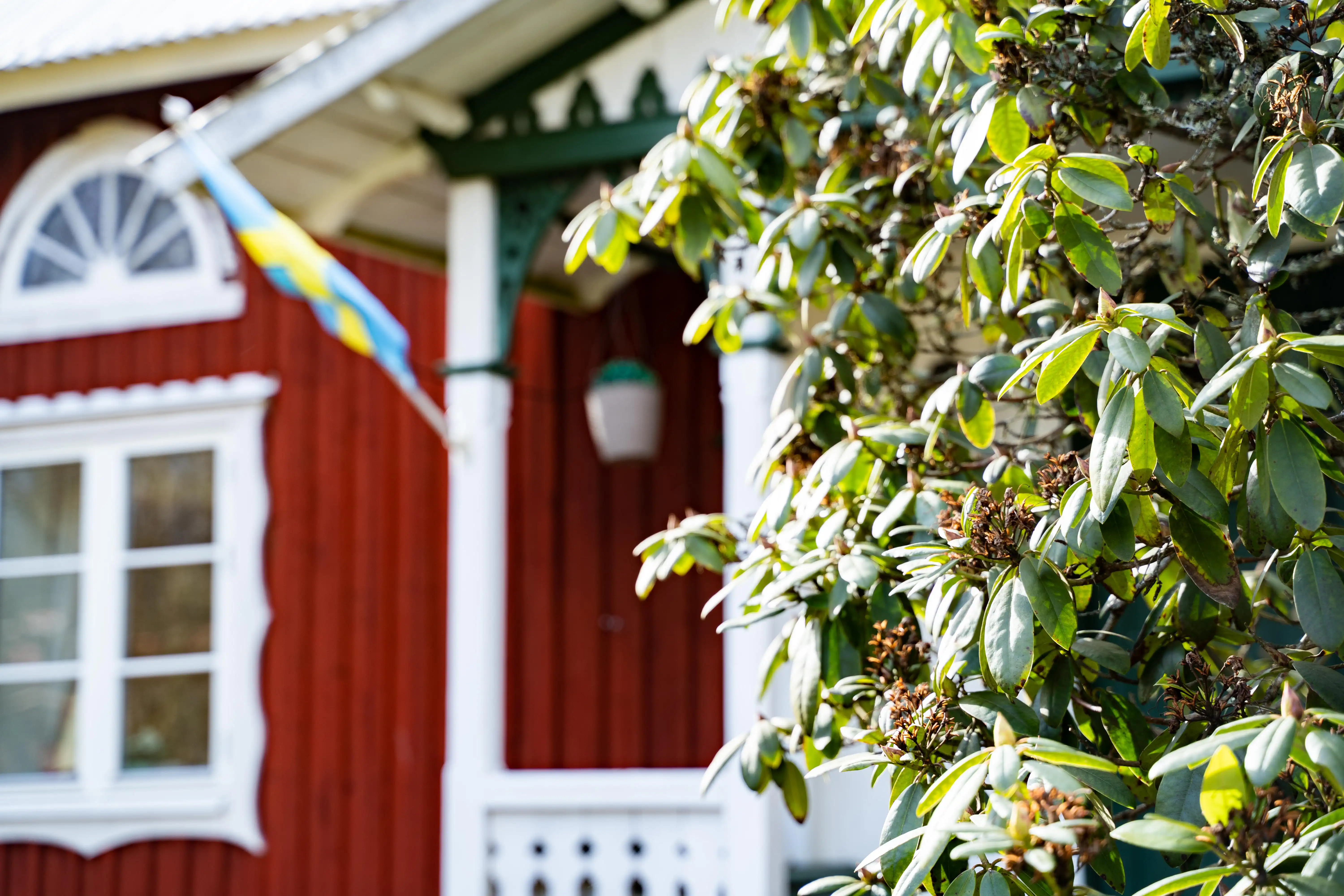 41. Ekenäs-101.jpg 9