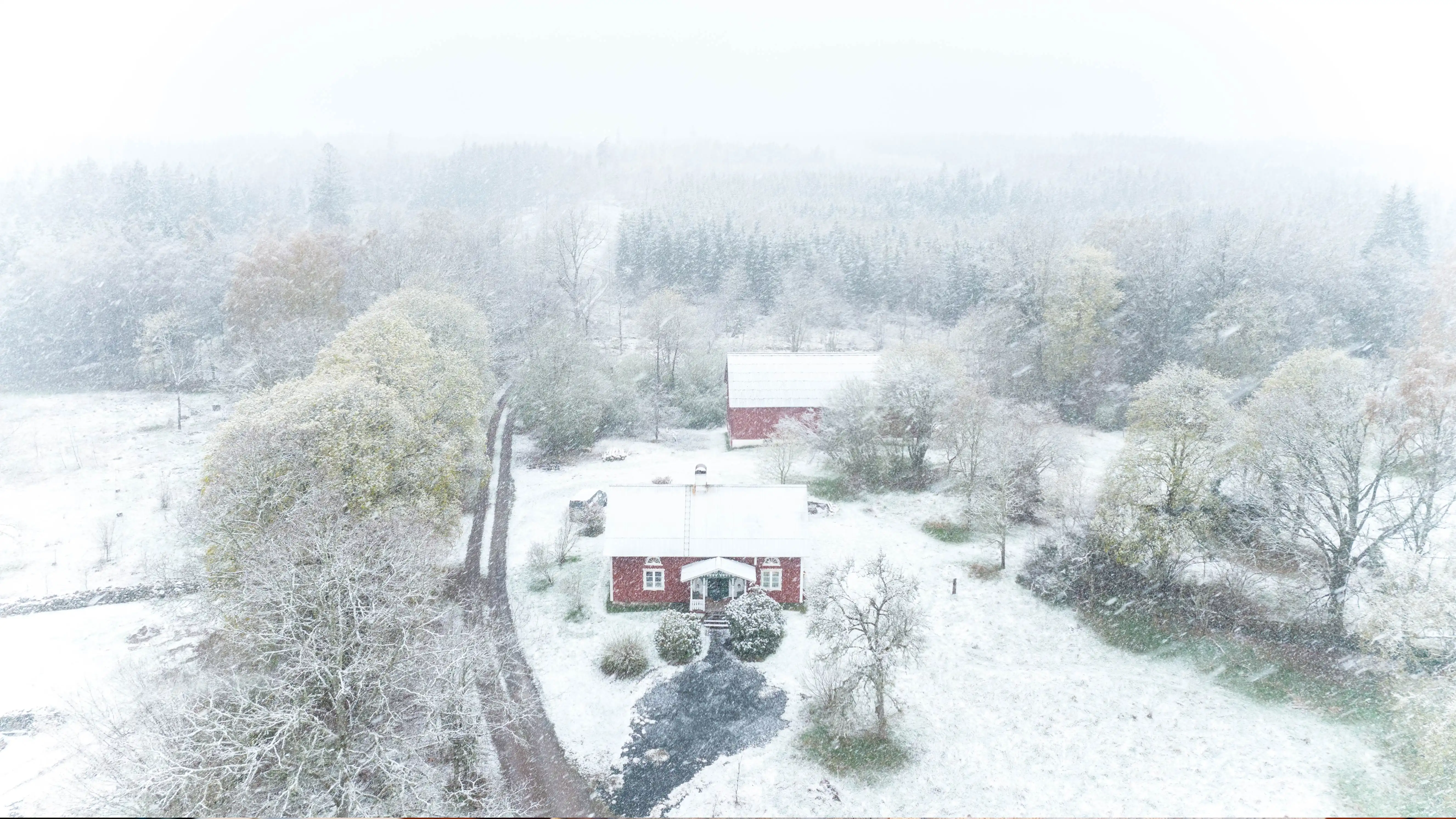 X Forsidebillede Vinter.jpg 42